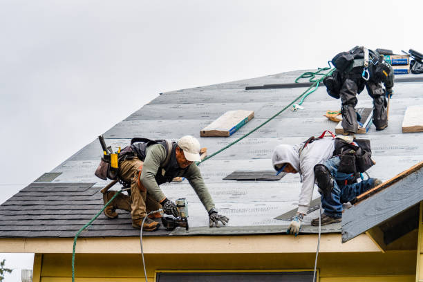 Professional Emergency Roof Repair technician working in Rolla, ND